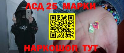 индика Рыбинск