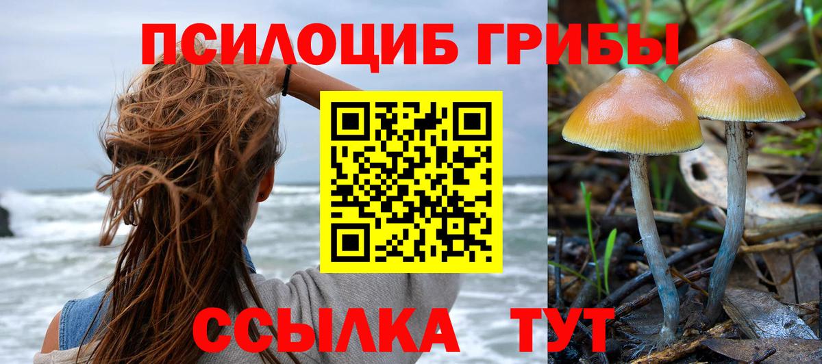 Псилоцибиновые грибы мицелий  Вход с VPN  Реутов  Галлюциногенные грибы Cubensis 