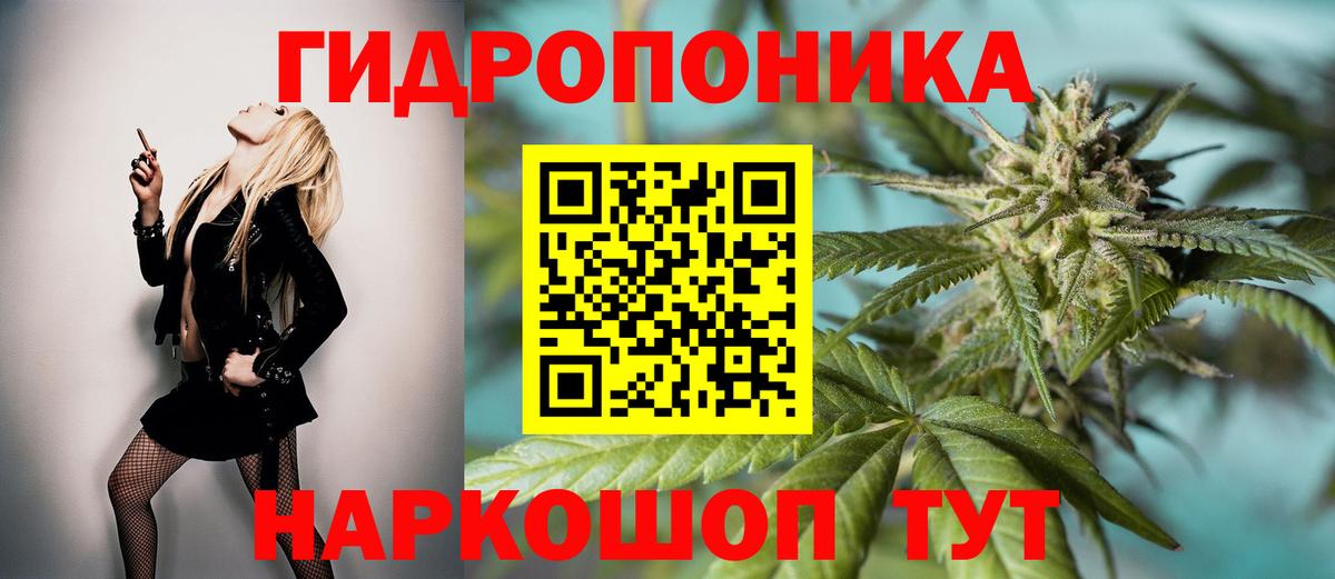 Бошки марихуана White Widow  Вход с VPN  Шишки марихуана AK-47  Шишки марихуана THC 21%  Реутов 